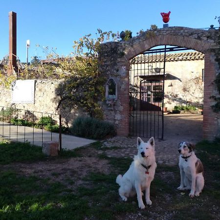 Mas Del Llop Blanc - Dog Friendly Hostal Rural - B&B Sobrestany Εξωτερικό φωτογραφία